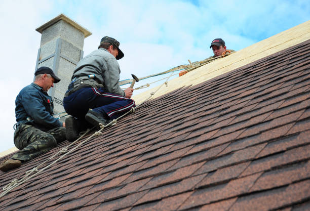 Best Flat Roof Repair Services  in Barbourmeade, KY